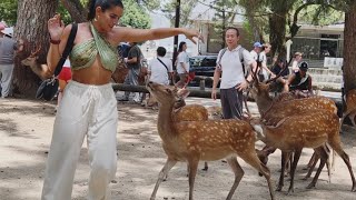 【奈良公園】世界でここだけ🦌! お店から水を貰う鹿を見た外国人観光客 ( 奈良の鹿 ) [奈良公園] 😘✨🌸