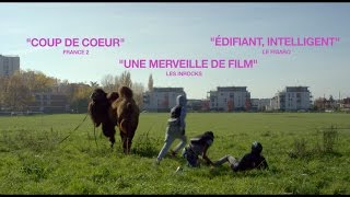 Trailer Preview Image