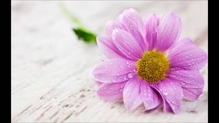 ISRAEL - Bee Gees - 😍😍😍