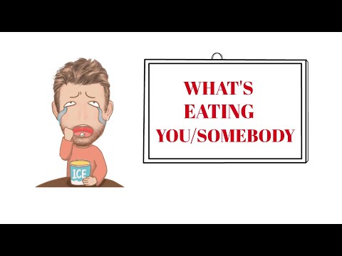 Tutor Nick P Interjections (151) What's Eating You ? What Is Eating Someone ? ( Origin)- Animated