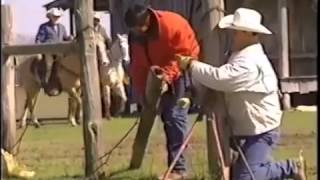 The adventure screen about the cowboys Howdy, Friends!