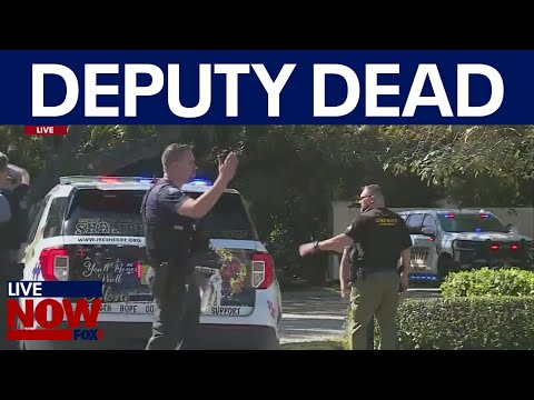 Video | Shooting in Vero Beach: deputy dead, others hurt