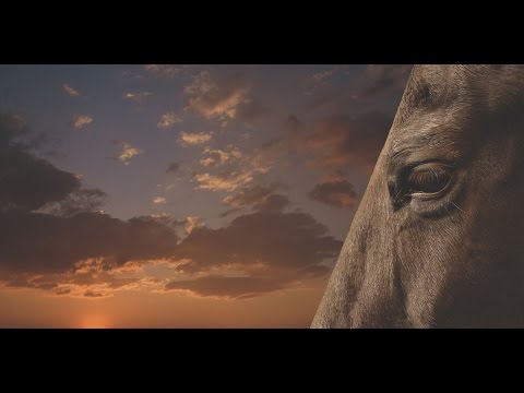 Avtomobili in Severa Gjurin - Daleč (Official Audio)