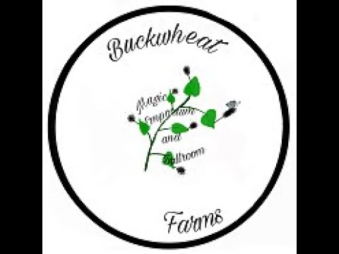 Buckwheat Farms photo 11