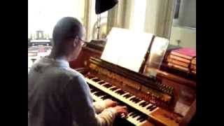 preview picture of video 'Varhany Boskovice / The organ in parochial church in Boskovice'