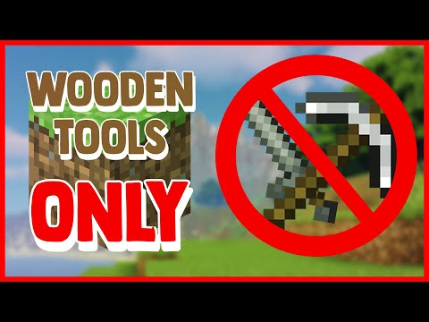 Sneaky Minecraft Challenge: Using Only Wooden Tools!