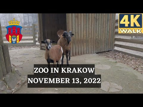 ZOO W KRAKOWIE