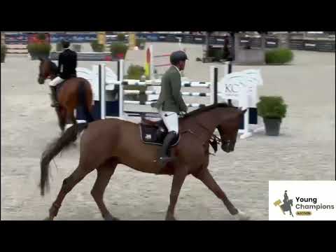 Kafka van Paebroeck Z