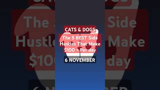 CATS &amp; DOGS CODE (6 NOVEMBER) #catsanddogs