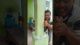 Download lagu Terjerit.#shotrs #trending #funny #subscribe mp3 Download lagu Terjerit.#shotrs #trending #funny #subscribe mp3