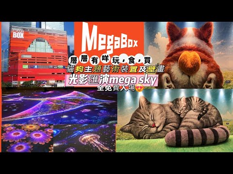 [🇭🇰香港好去處]MegaBox層層有咩玩食|貓狗主題藝術裝置及壁畫免費打卡|光影匯演mega sky免費打卡|