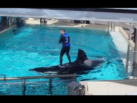 Ikaika Med Pool Waterworks 10-17-14