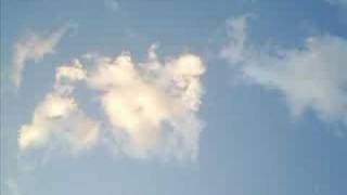 cornelius - 2010 ( encuero )