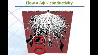 Measuring Environmental Parameters Root Zone