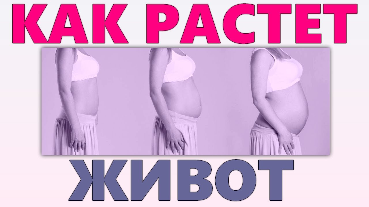 ДИНАМИКА ЖИВОТА ПО НЕДЕЛЯМ БЕРЕМЕННОСТИ | Почему живот не растет или слишком большой