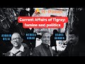 H-Panel: Current Affairs of Tigray:  famine and politics