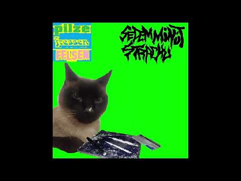 Sedem Minút Strachu / PilzeFressenFelsen - Split (KOMPLETT)