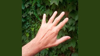 Cover art for Volver a los 47