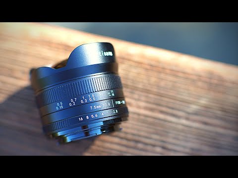 Video thumbnail for Video Review 1