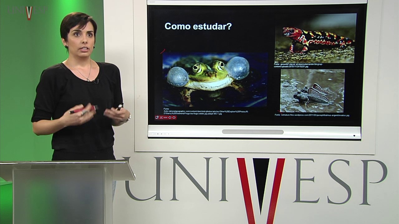 Zoologia dos Vertebrados – Aula 09 - A conquista do ambiente terrestre