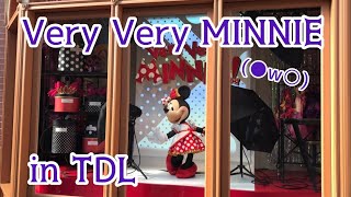 ＊【ゴスロリ】ベリー・ベリー・ミニーに行って来た！【ディズニー】＊