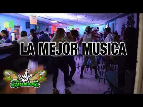 LAS IGUANAS DALIAS SAN LUIS POTOSI MEX