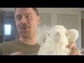 Theme Song Thursday 142 Murray Has A Little Lamb From Sesame Street