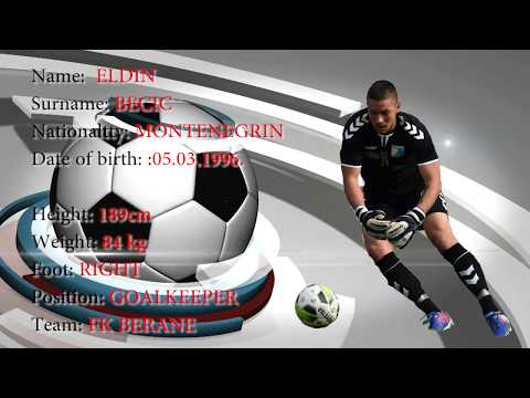 ELDIN BECIC BUCO CV 2019