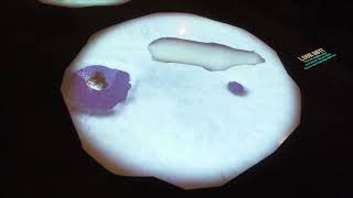 IPUSA Sample Columbus Zoo | LuminVision