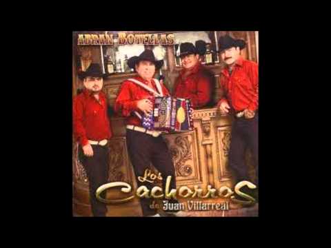 los cachorros de juan villarreal-el secuestro de mi madre