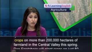 Phát âm chuẩn cùng VOA - Anh ngữ đặc biệt: California Drought (VOA-Ag)