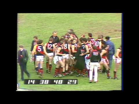 Quarter Time 1983 Elimination Final
