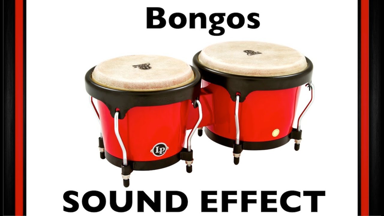 Bongos Sample | Sound Effect | Loops | HD