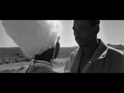 Time Spent With Cats is Never Wasted (2021) Trailer