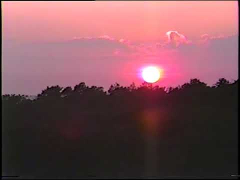 (FREE) Nedarb x LiLPEEP x Craig xen TYPEBEAT "CodeineTripper" (prod. TRASHUND)