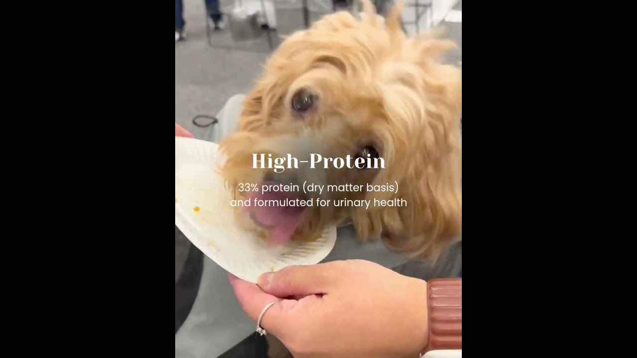 High-protein plant-based