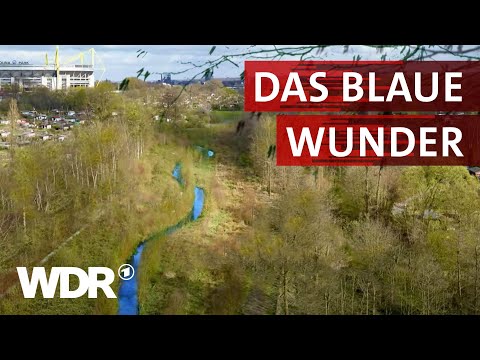 Die Emscher – Von der Kloake zum Naturparadies | Heimatflimmern | WDR