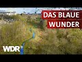 Die Emscher – Von der Kloake zum Naturparadies | Heimatflimmern | WDR