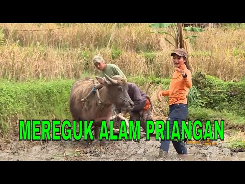 [FULL] MEREGUK ALAM PRIANGAN | JEJAK PETUALANG (17/09/22)