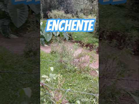 Enchente em serrinha Campo do Tenente PR #Shorts