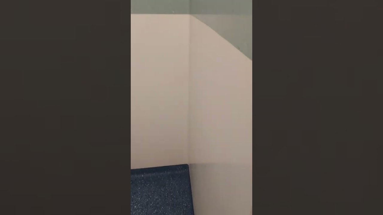 Carnival Liberty - Cabin 7445 - Video 2