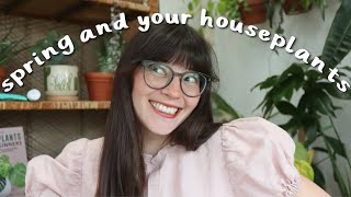 Tips for Prepping Houseplants for Spring & Summer 🪴🌸