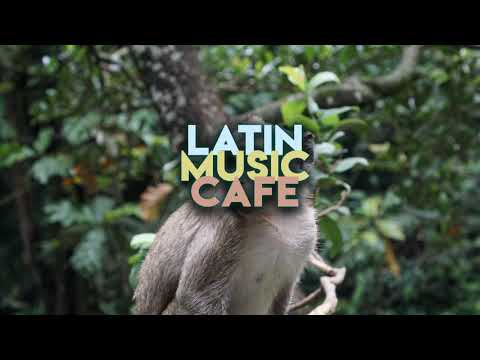 Mr. Sutra - Guiyo & Mr. Sutra - Zorros al Limite (Mas Musica Mixtape) | Latin Music Cafe ☕