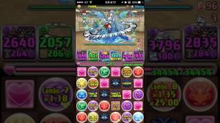 챌린지던전 43 lv.10 환생아누비스pt