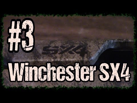 Quick look at the Winchester SX4 Waterfowl Hunter Camo 12 Gauge, shotgun review! #winchestersx4