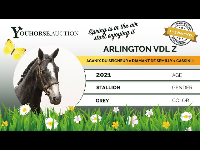 Arlington VDL