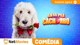 Amor Pra
