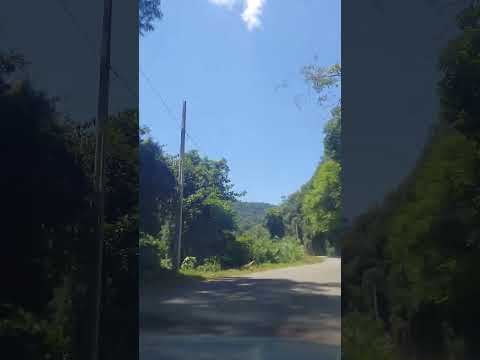 Interior de Santa Tereza-RS, indo a Monte Belo do Sul-RS