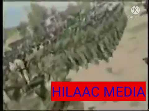 DAYAAY DAYAAY HEES WADANI AH