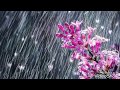 Rainy Season Wishes WhatsApp Status Video Rainy Day Greeting Card Mobile Status